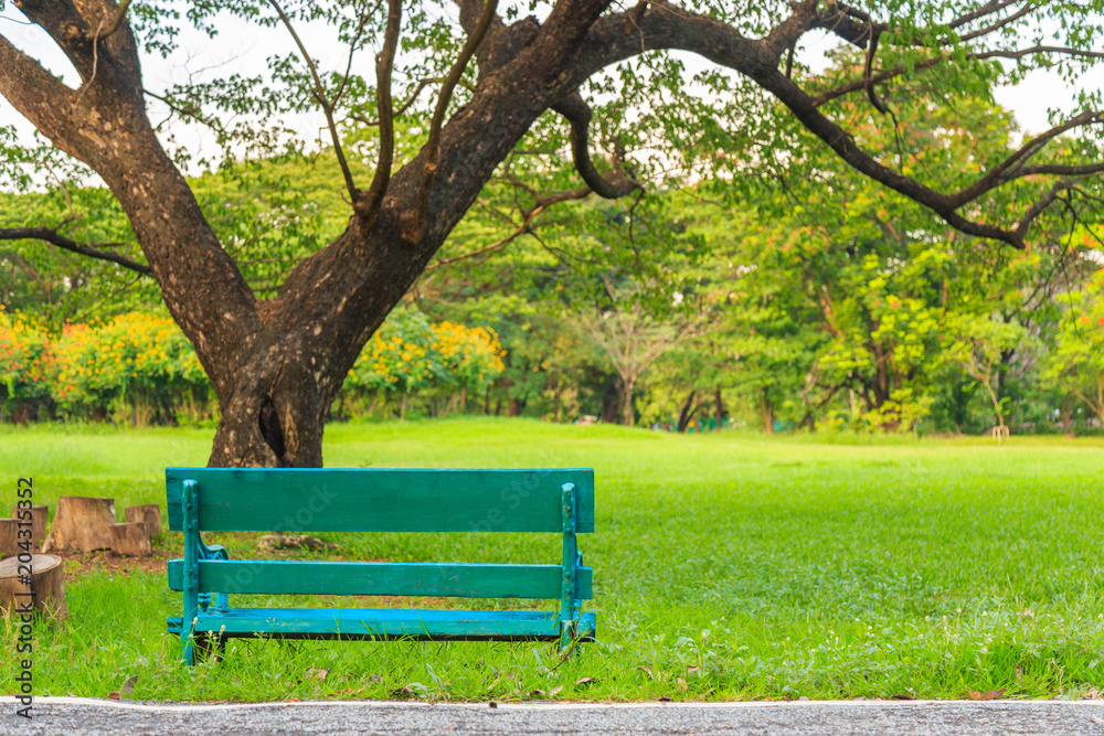 An old wooden bench on the grass in the park with natute background.