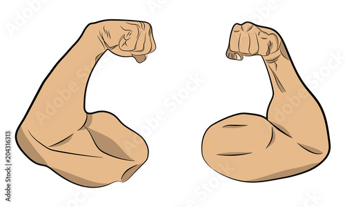 inflated muscle hands vector drawing illustration