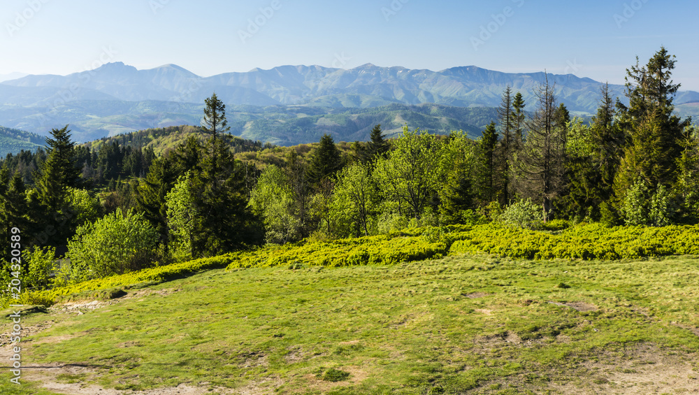 A view of the Lesser Fatra range in slovakia.