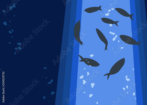 海の中　魚