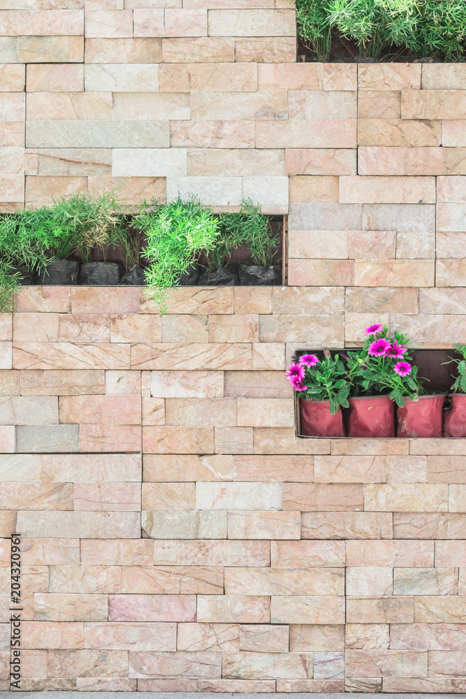 Naklejka premium Potted plant on stone wall
