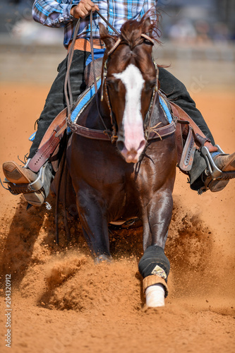 Fototapeta Naklejka Na Ścianę i Meble -  The front view of a rider in jeans, cowboy chaps and checkered shirt on a reining horse slides to a stop in the red clay an arena.