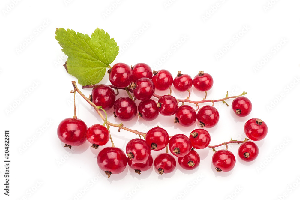 Red currant