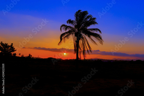 sunset in sky and silhouette coconut tree beautiful colorful landscape countryside twilight time art of nature