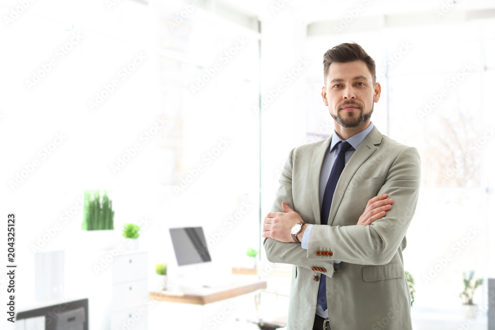 Male lawyer standing in light office