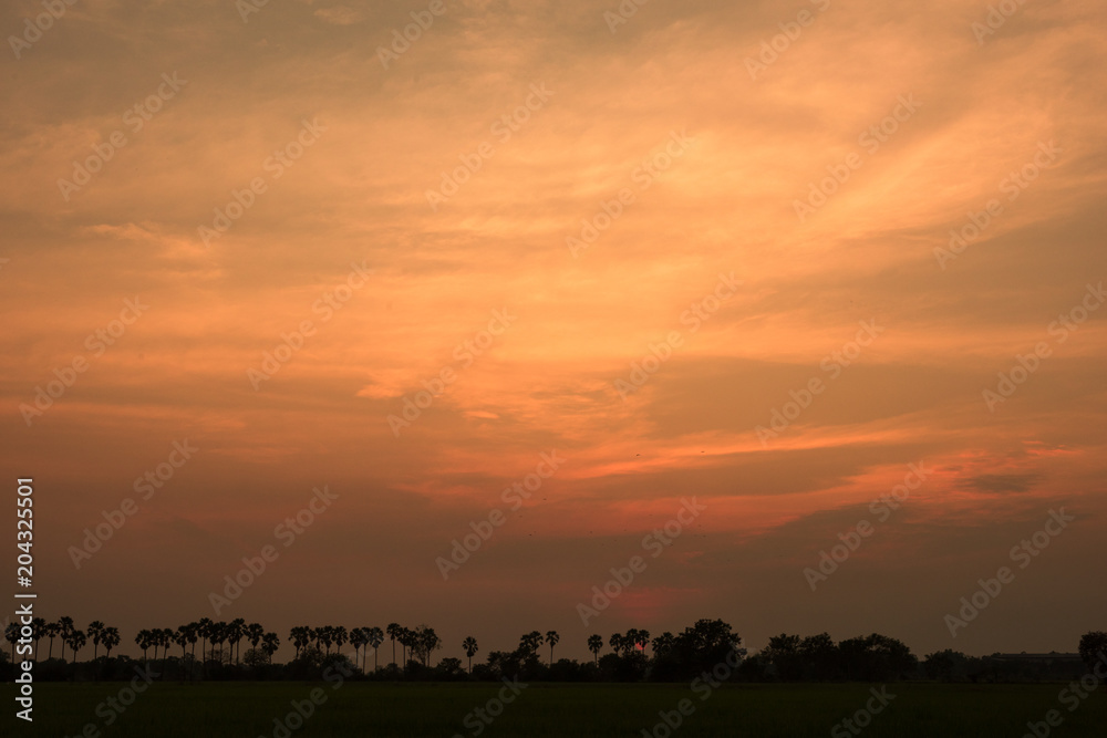 Sunset on a field in the countryside ,Natural Sunset Sunrise Over Field Or Meadow.