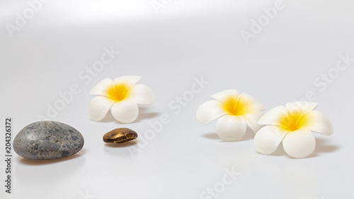 Frangipani flowers on white background. Concept for spa background