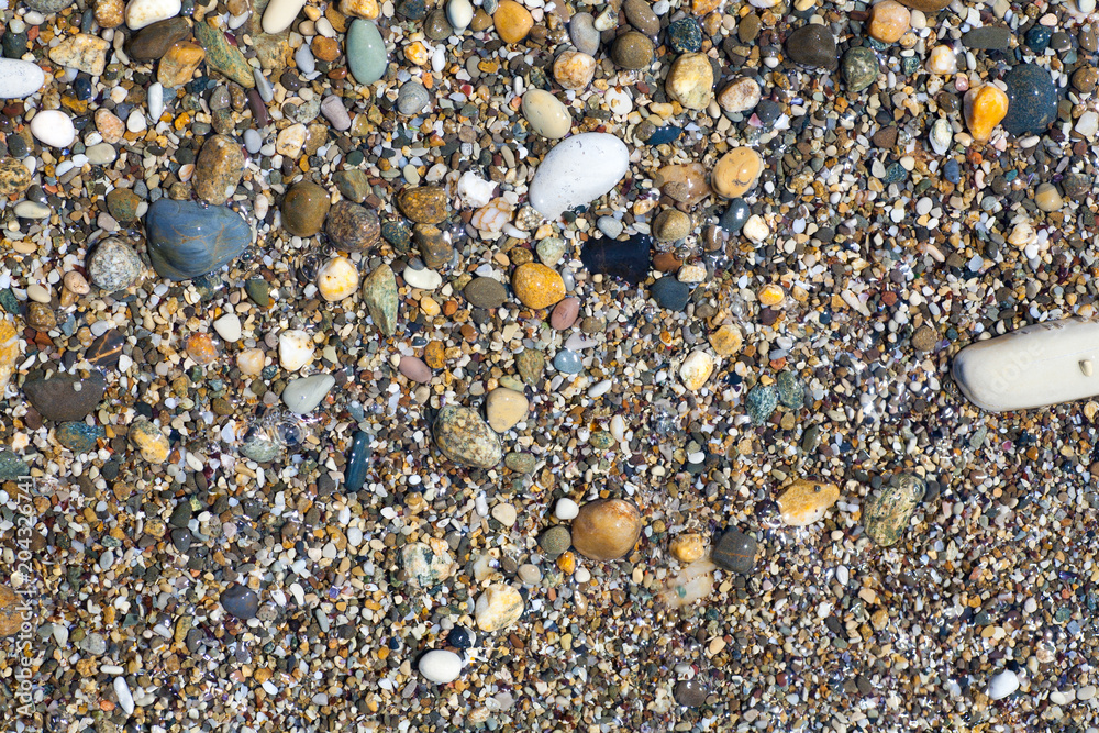 Sea shells, corals, pebble stones for background Sea shells, corals, pebble stones for background