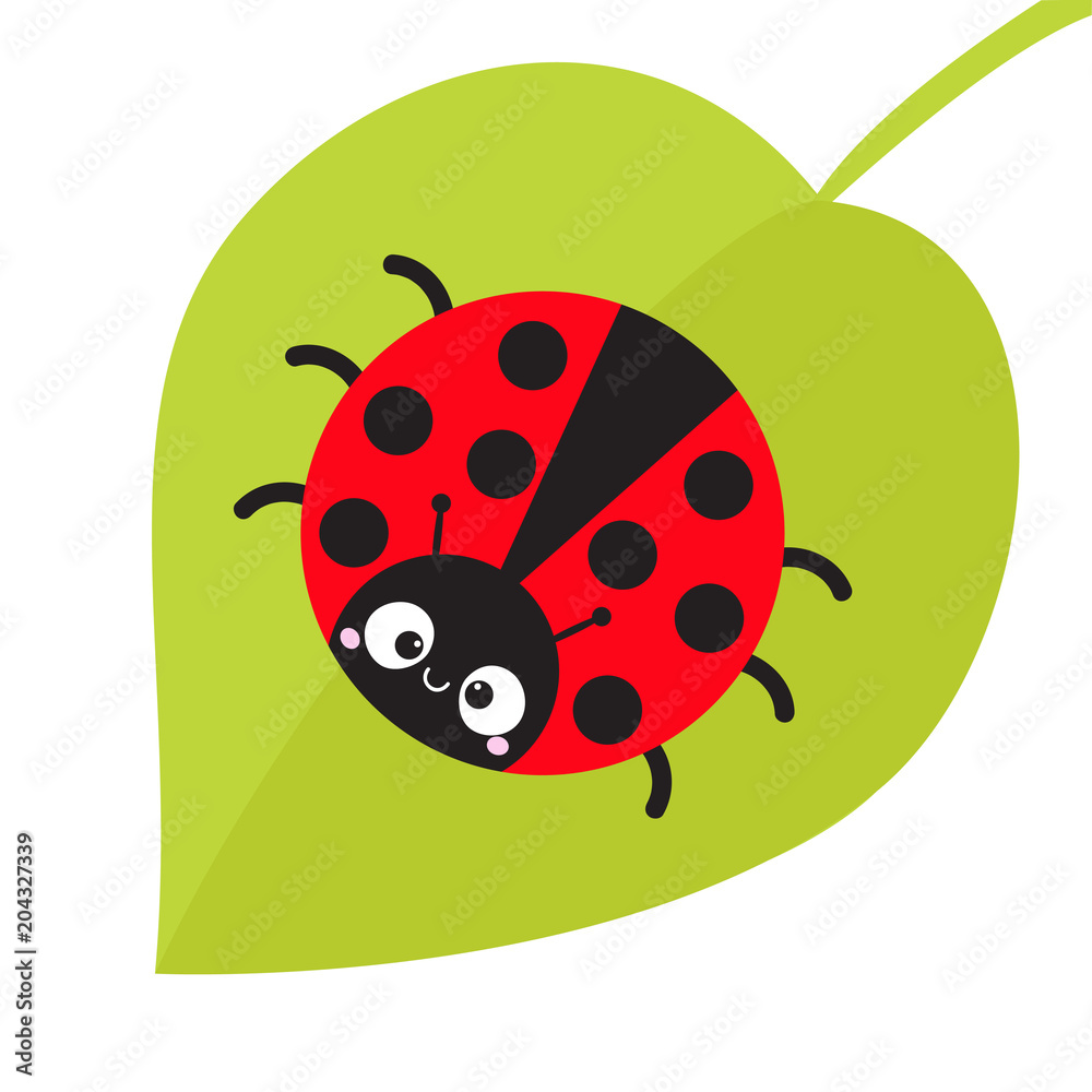 Fototapeta premium Cute cartoon lady bug sitting on green leaf. Cute icon. Cartoon funny character. Smiling face. White background. Isolated. Baby illustration. Flat design.
