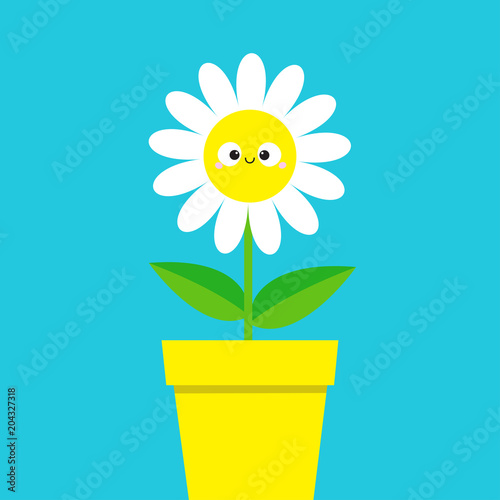 White daisy chamomile with smiling face head. Cute flower pot plant  collection. Love card. Cute cartoon funny character. Camomile icon Growing  concept. Flat design. Blue background. Stock Vector | Adobe Stock
