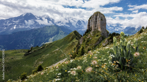 Schynige Platte - Switzerland photo