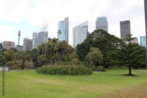 Sydney skyline from the Royal Botanic Gardens, Australia © Jacoba