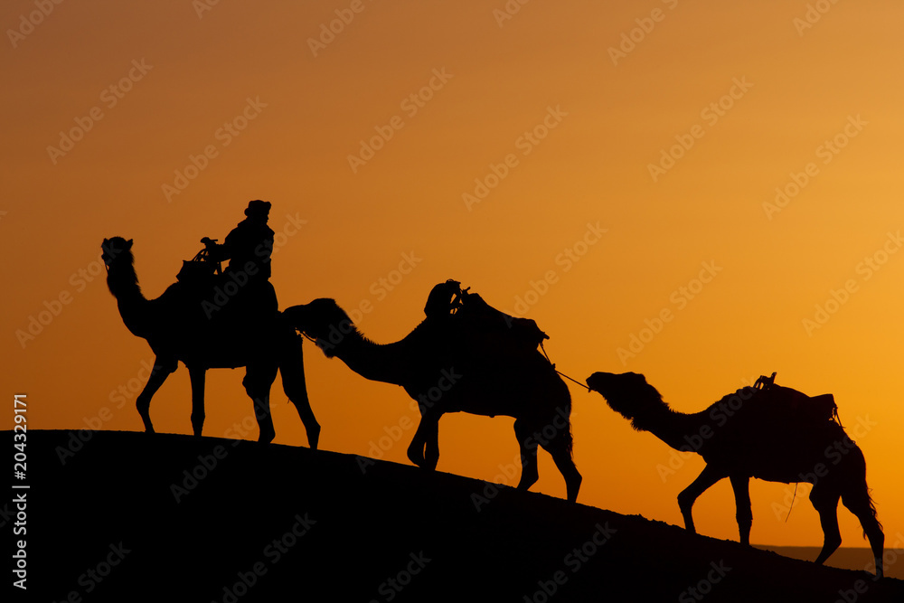 Morocco/South Morocco, Merzouga Morocco/South Morocco, Merzouga