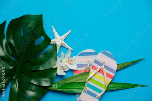 palm leaf with flower and flip flops. Objects isolated on blue background