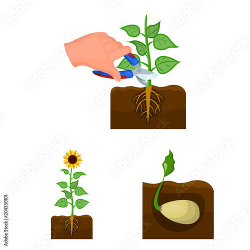 Farm and agriculture cartoon icons in set collection for design. Garden and plants isometric vector symbol stock web illustration.