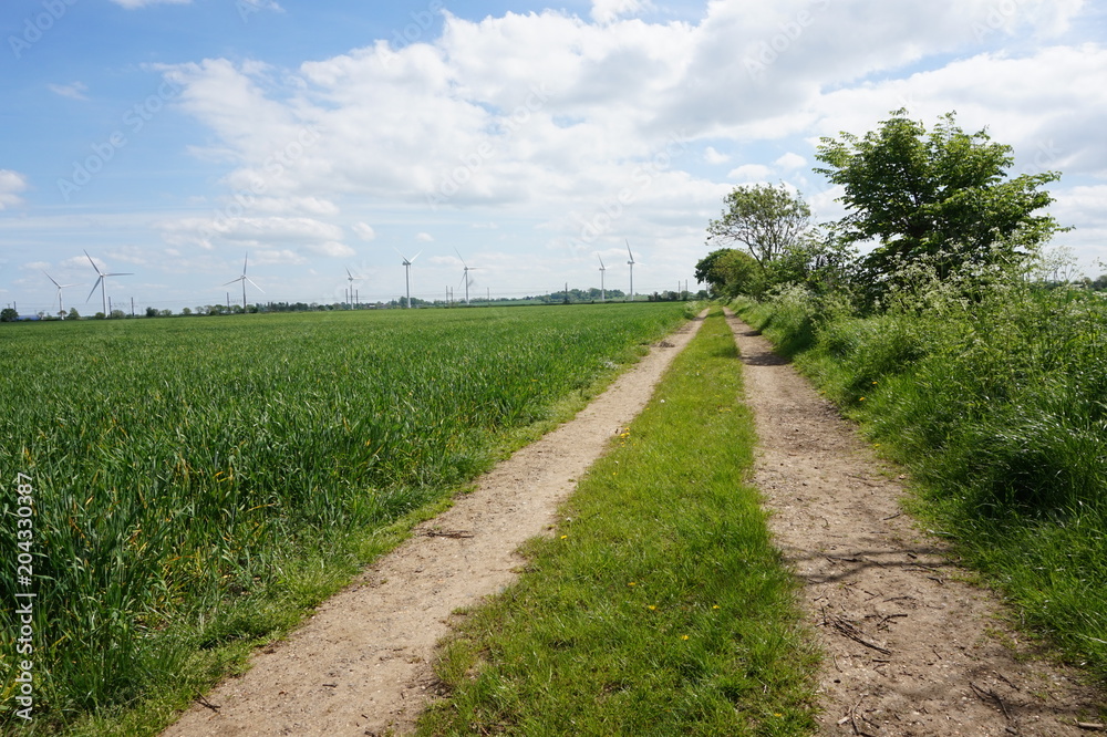 A rural path leading up to wind turbines in the background. A rural path leading up to wind turbines in the background.