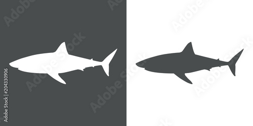 Icono plano silueta tiburon blanco en gris y blanco