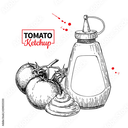 Ketchup sauce bottle with tomatoes. Vector drawing. Food flavor 