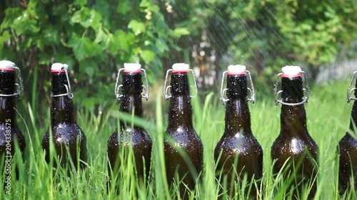 Fresh beverages on a lawn photo