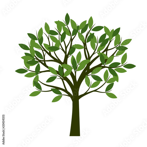 Green Spring Tree. Vector Illustration.