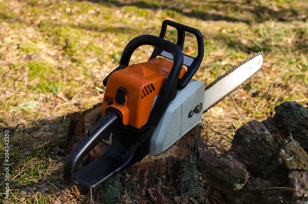 Chainsaw in the woods