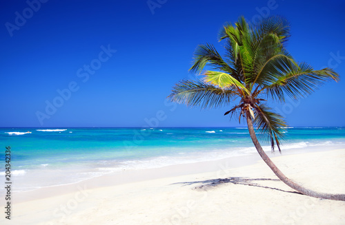 Fototapeta Naklejka Na Ścianę i Meble -  Tropical pristine beach with coconut palm