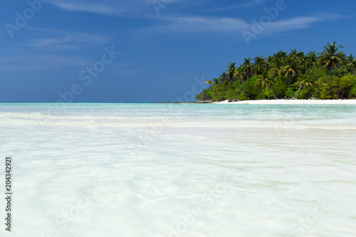 Fototapeta Naklejka Na Ścianę i Meble -  Wild Maldives island with sandy beach