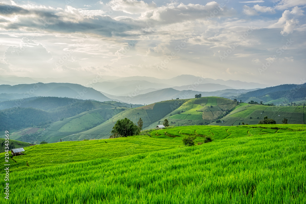 Most beautiful rice terraces in Thailand, of the Doi Inthanon National Park in Chiang Mai, Thailand. Most beautiful rice terraces in Thailand, of the Doi Inthanon National Park in Chiang Mai, Thailand.