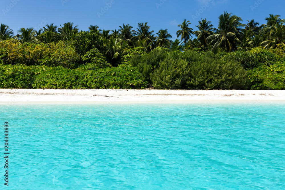 Sea with coconut palms island
