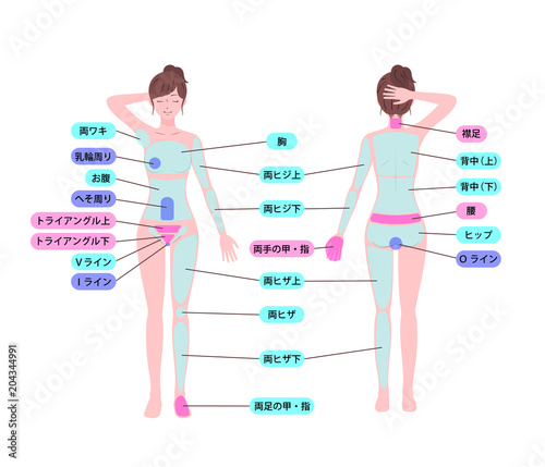 女性　ヌード　全身