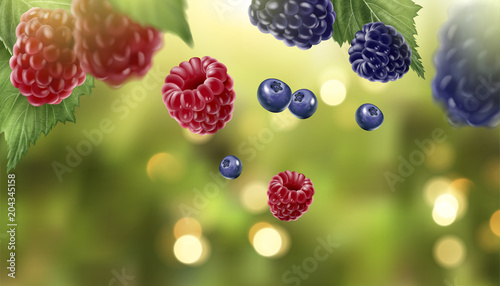 Blue berry and raspberry elements