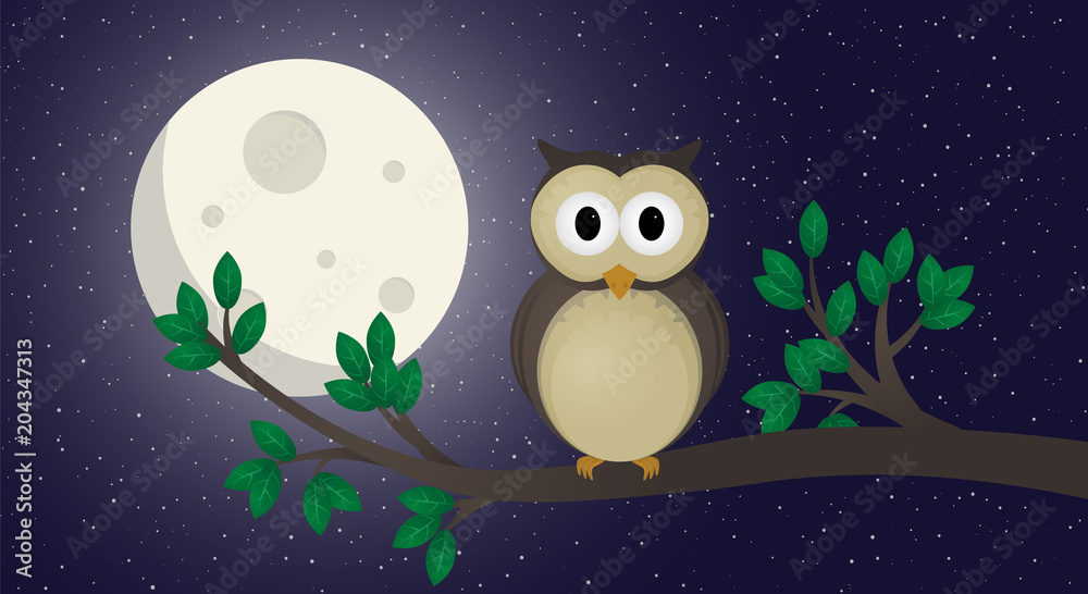 Fototapeta Cute owl illustration vector. The owl sits on a branch.Night
