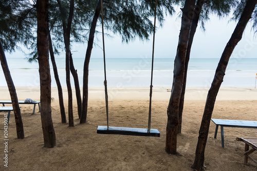 Swing hanging under the tree on the beach.Thailand.