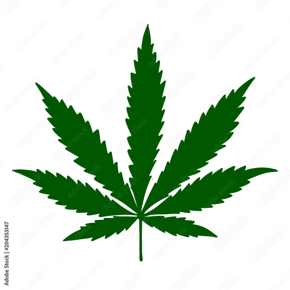 Cannabis leaf, sketch for your design Cannabis leaf, sketch for your design