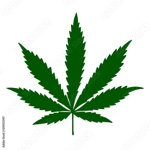 Cannabis leaf, sketch for your design