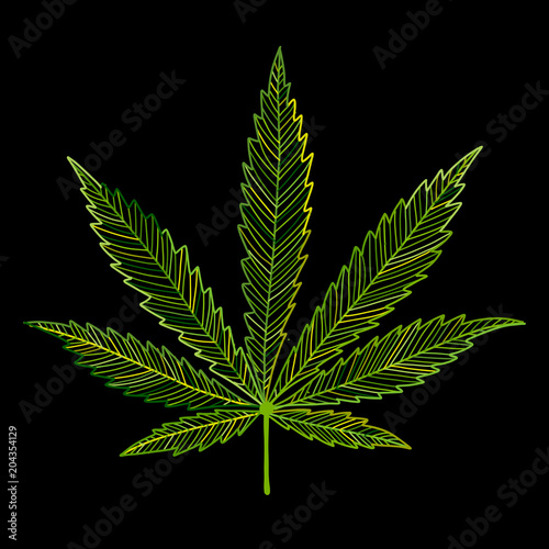 Cannabis leaf, sketch for your design