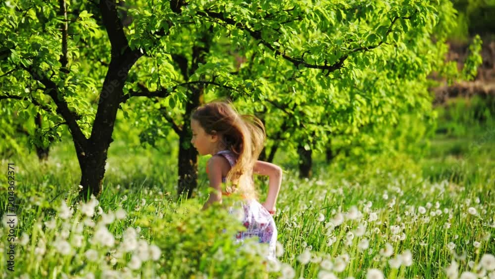 A girl runs through the garden with dandelions on a sunny day A girl runs through the garden with dandelions on a sunny day