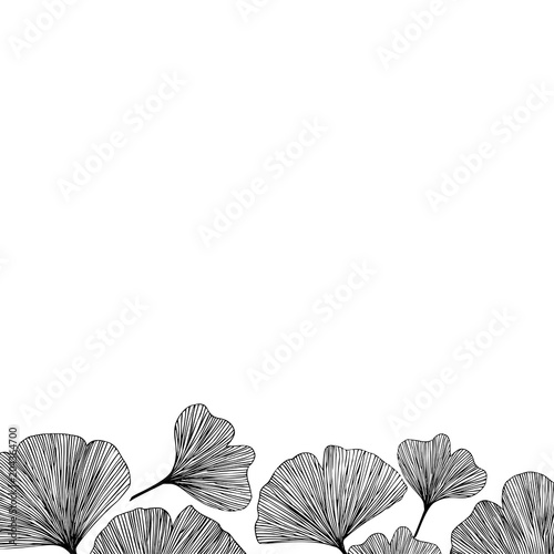 Ginkgo biloba leaves  vector illustration bottom side border in black for background