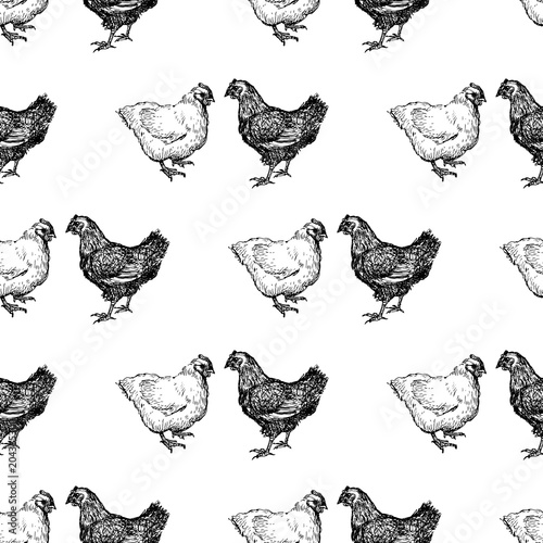 Valokuvatapetti Pattern of the drawn hens
