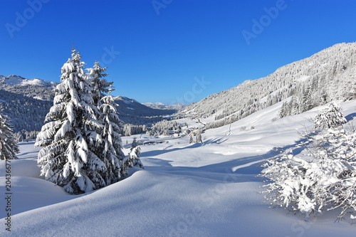 Deeply snow-covered landscape in the mountains with forests and the mountain village Balderschwang at a beautiful winter day. Bavaria, Germany