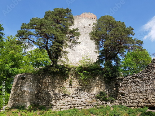 Die Ruine Altbodman auf dem Bodanrück photo