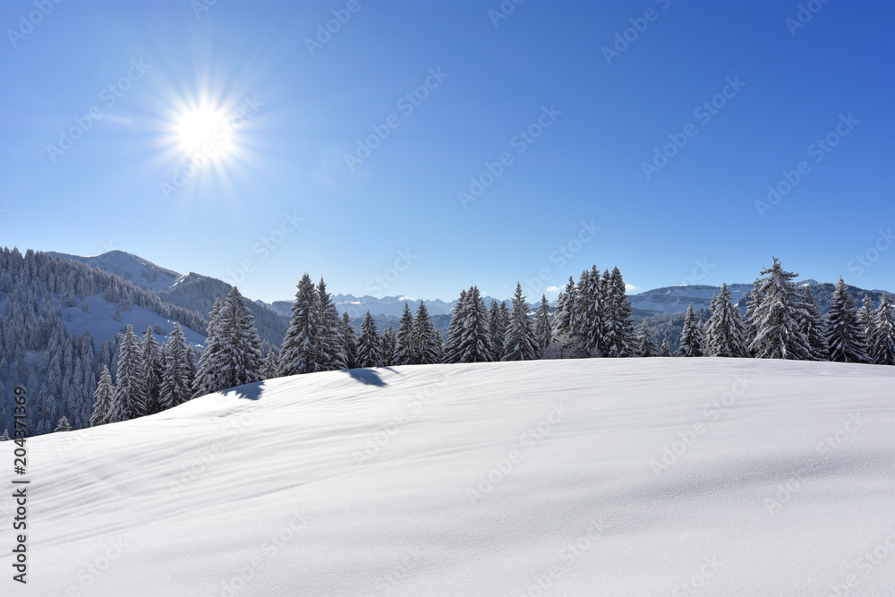 Deeply snow-covered landscape in the mountains with forests and the sun at a beautiful winter day.Allgaeu Alps, Bavaria, Germany