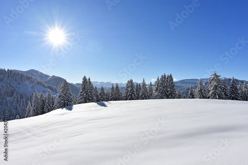 Deeply snow-covered landscape in the mountains with forests and the sun at a beautiful winter day.Allgaeu Alps, Bavaria, Germany