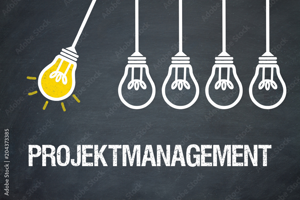 Projektmanagement / Lampen / Konzept Projektmanagement / Lampen / Konzept