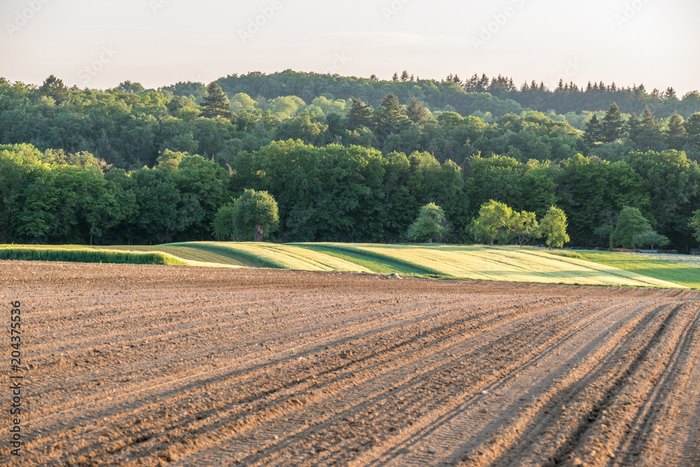 Ackerbau und Landwirtschaft