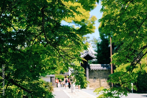 Kyoto