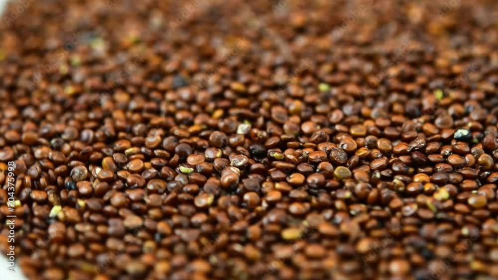 red quinoa seeds red quinoa seeds