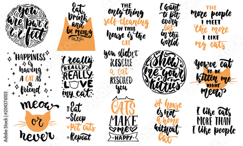 Hand drawn lettering quotes about cats collections isolated on the white background. Fun brush ink vector calligraphy illustrations set for banners, greeting card, poster design.