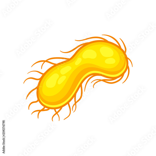 Illustration of yellow E coli virus. Biology microorganism under microscope. Flat vector icon related to microbiology theme