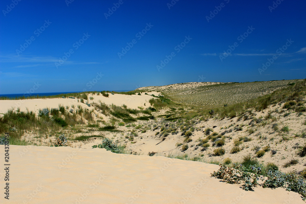 dune and sky